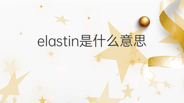 elastin是什么意思 elastin的中文翻译、读音、例句