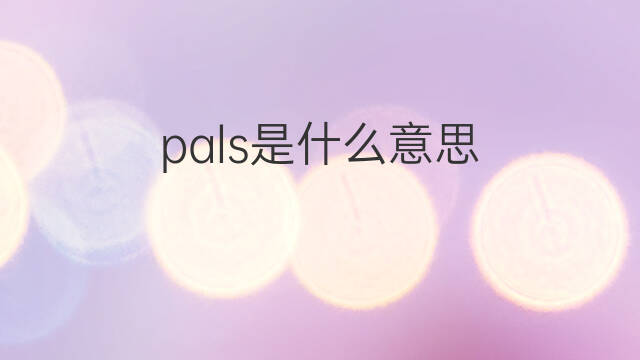 pals是什么意思 pals的中文翻译、读音、例句