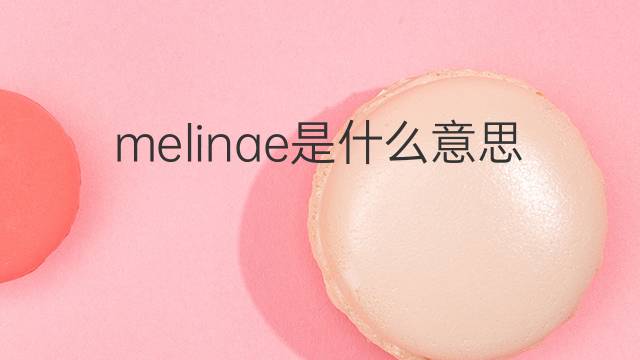 melinae是什么意思 melinae的中文翻译、读音、例句