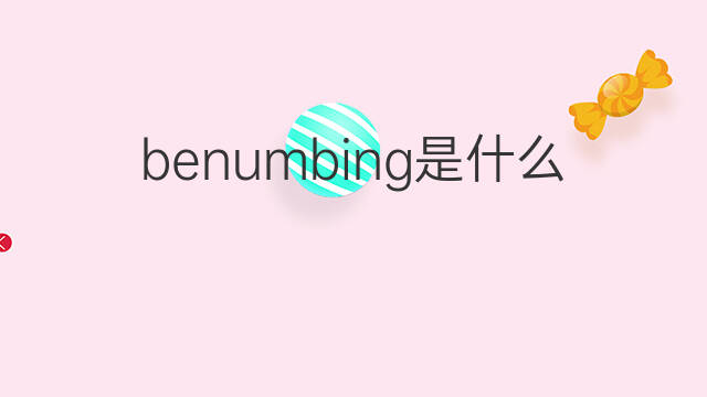 benumbing是什么意思 benumbing的中文翻译、读音、例句