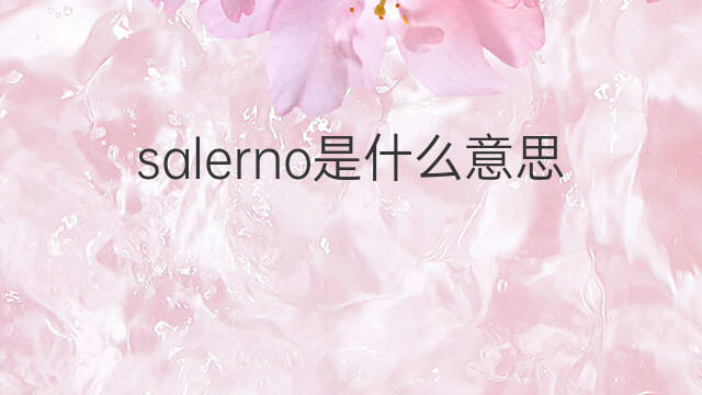 salerno是什么意思 salerno的中文翻译、读音、例句