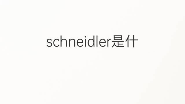 schneidler是什么意思 schneidler的中文翻译、读音、例句