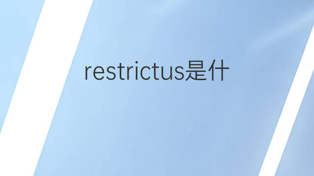 restrictus是什么意思 restrictus的中文翻译、读音、例句