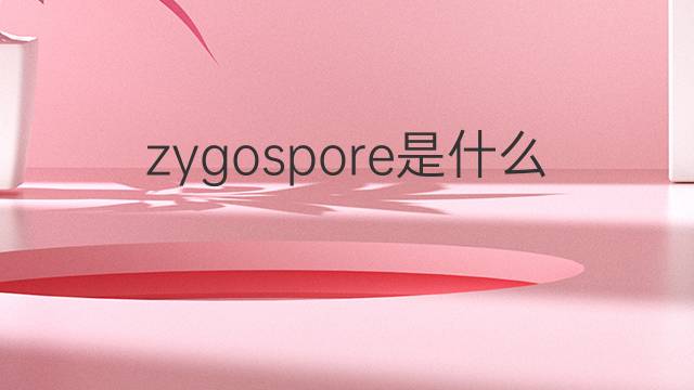 zygospore是什么意思 zygospore的中文翻译、读音、例句