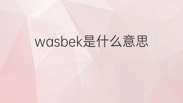 wasbek是什么意思 wasbek的中文翻译、读音、例句