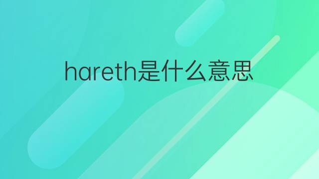hareth是什么意思 hareth的中文翻译、读音、例句