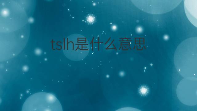 tslh是什么意思 tslh的中文翻译、读音、例句