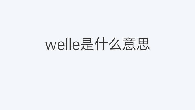 welle是什么意思 welle的中文翻译、读音、例句