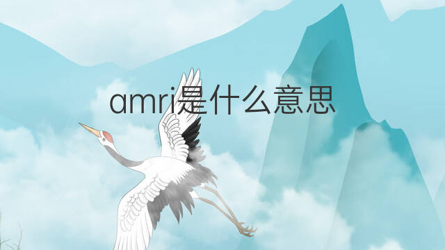 amri是什么意思 英文名amri的翻译、发音、来源