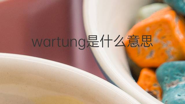 wartung是什么意思 wartung的中文翻译、读音、例句