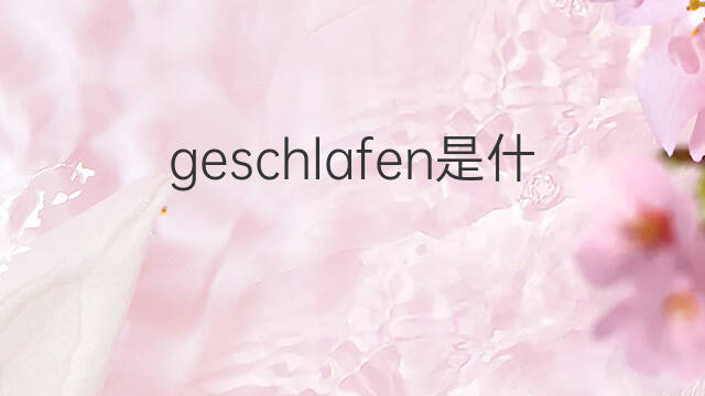 geschlafen是什么意思 geschlafen的中文翻译、读音、例句