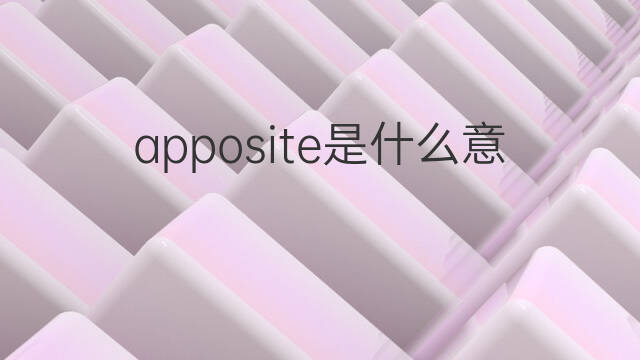 apposite是什么意思 apposite的中文翻译、读音、例句