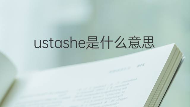 ustashe是什么意思 ustashe的中文翻译、读音、例句