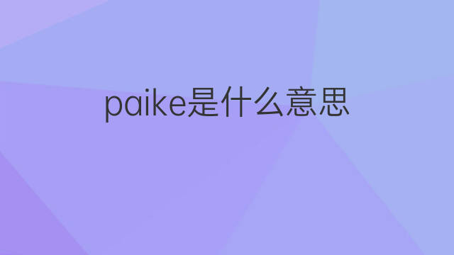 paike是什么意思 paike的翻译、读音、例句、中文解释