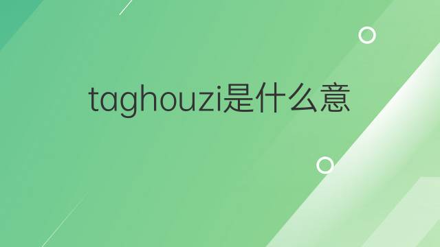taghouzi是什么意思 taghouzi的中文翻译、读音、例句