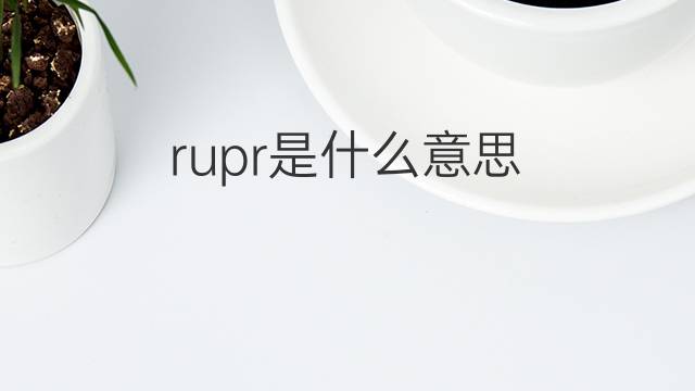 rupr是什么意思 rupr的中文翻译、读音、例句
