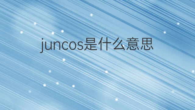 juncos是什么意思 juncos的中文翻译、读音、例句