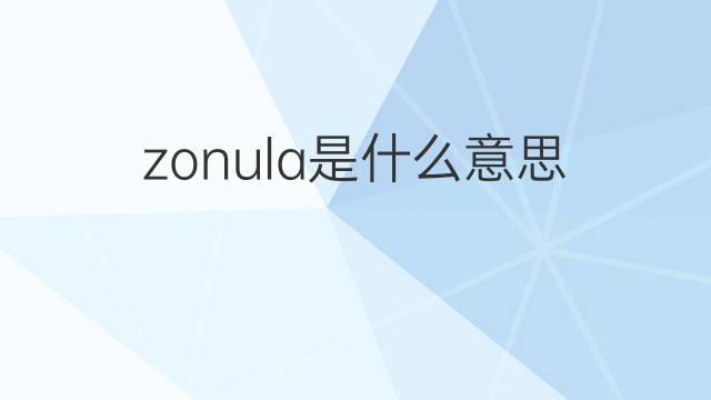zonula是什么意思 zonula的中文翻译、读音、例句