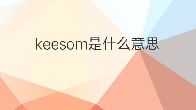 keesom是什么意思 keesom的中文翻译、读音、例句