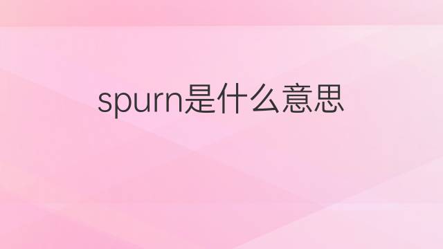 spurn是什么意思 spurn的中文翻译、读音、例句