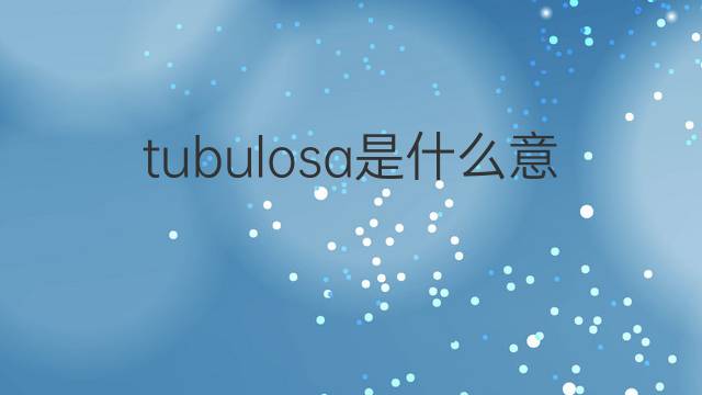 tubulosa是什么意思 tubulosa的中文翻译、读音、例句