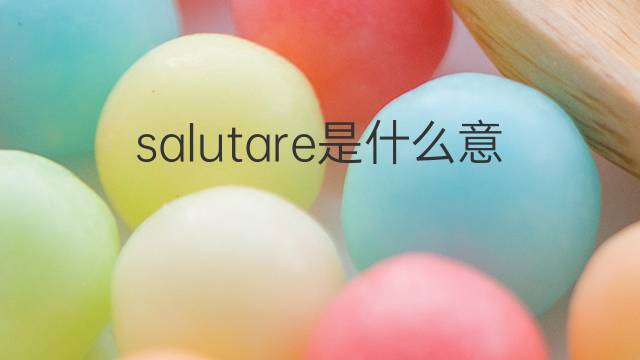 salutare是什么意思 salutare的中文翻译、读音、例句