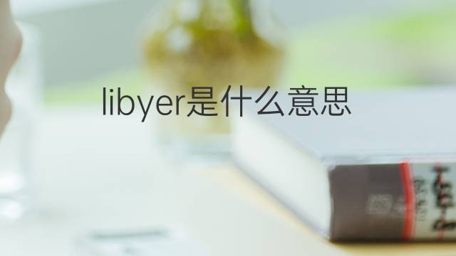 libyer是什么意思 libyer的中文翻译、读音、例句
