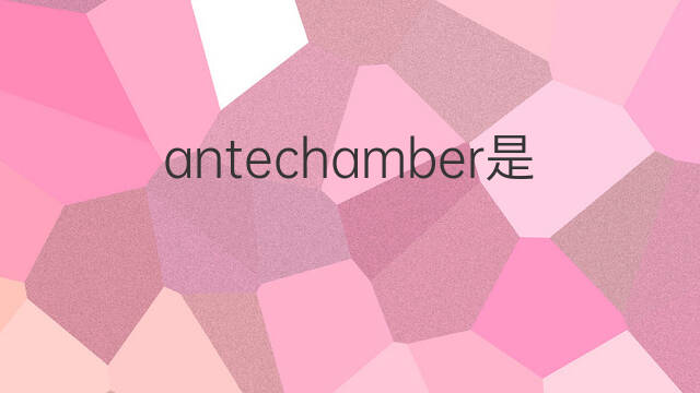 antechamber是什么意思 antechamber的中文翻译、读音、例句