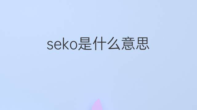 seko是什么意思 seko的中文翻译、读音、例句