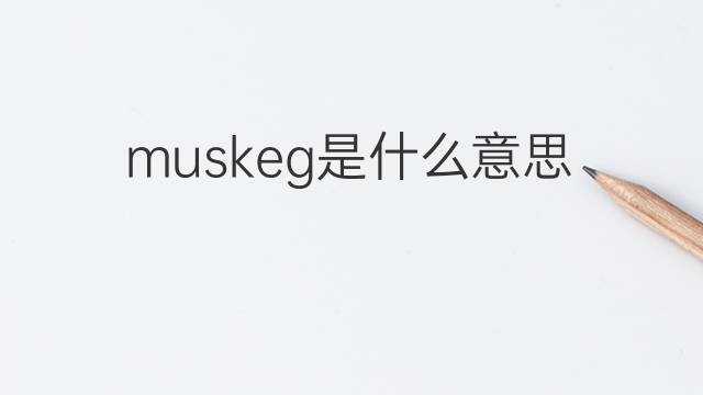 muskeg是什么意思 muskeg的中文翻译、读音、例句