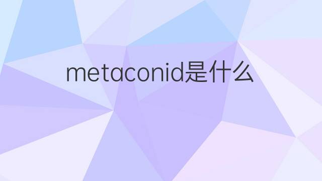 metaconid是什么意思 metaconid的中文翻译、读音、例句