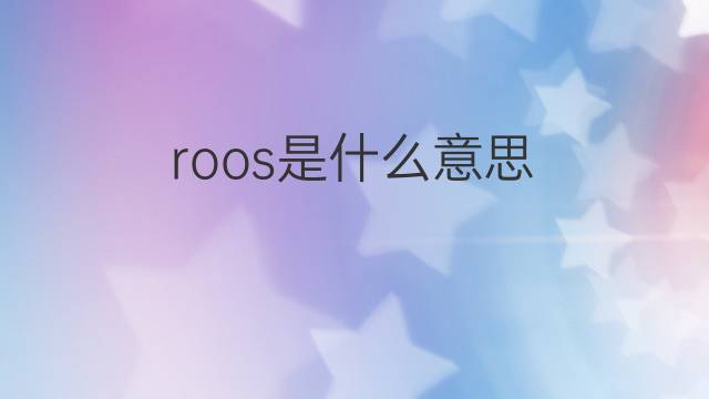 roos是什么意思 roos的中文翻译、读音、例句
