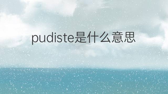 pudiste是什么意思 pudiste的中文翻译、读音、例句