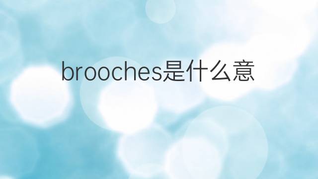 brooches是什么意思 brooches的中文翻译、读音、例句