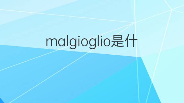 malgioglio是什么意思 malgioglio的翻译、读音、例句、中文解释