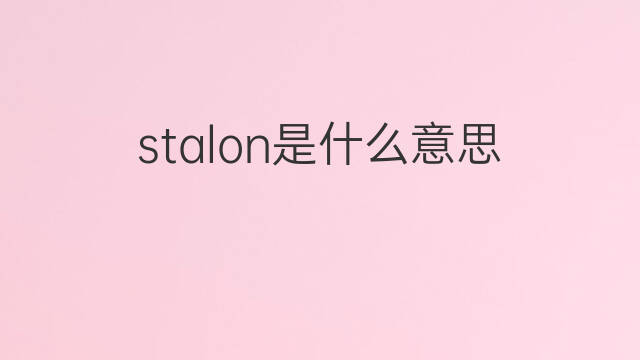 stalon是什么意思 stalon的中文翻译、读音、例句
