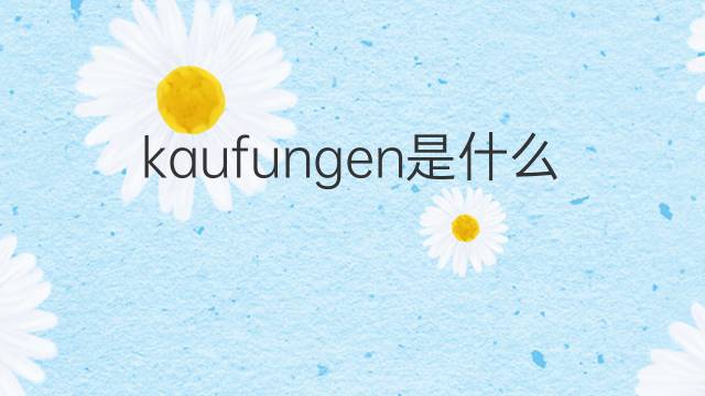 kaufungen是什么意思 kaufungen的中文翻译、读音、例句