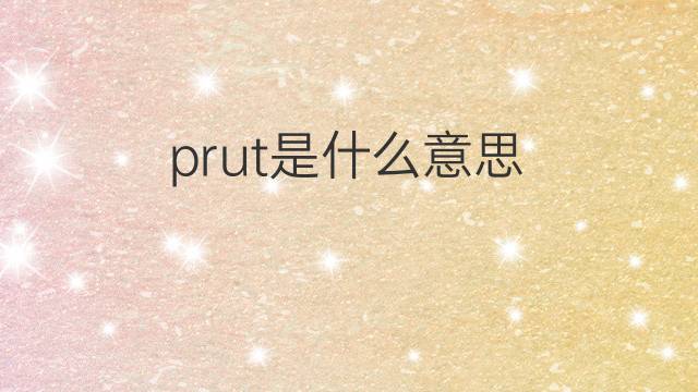prut是什么意思 prut的中文翻译、读音、例句