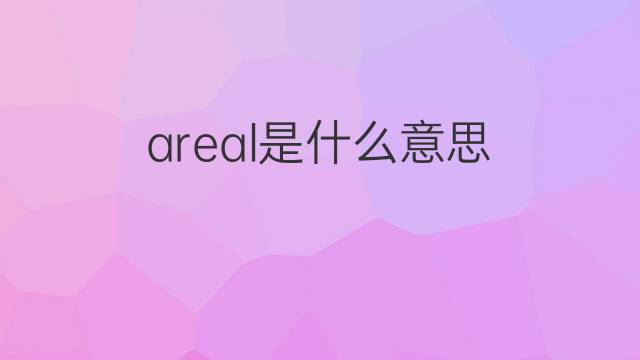 areal是什么意思 areal的中文翻译、读音、例句