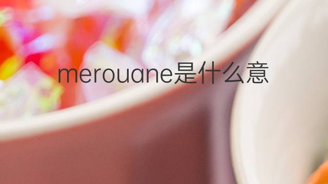 merouane是什么意思 merouane的中文翻译、读音、例句