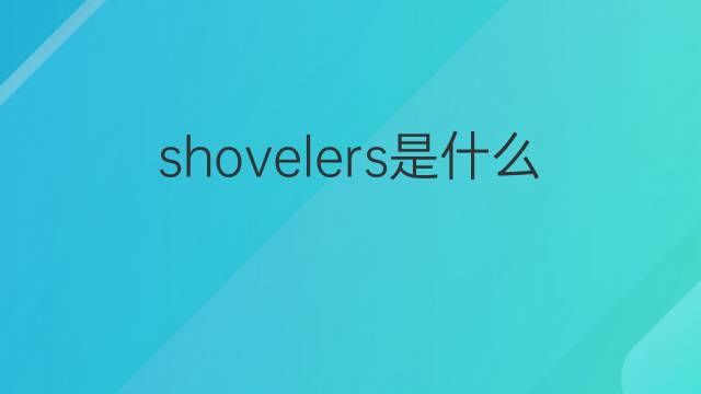 shovelers是什么意思 shovelers的翻译、读音、例句、中文解释