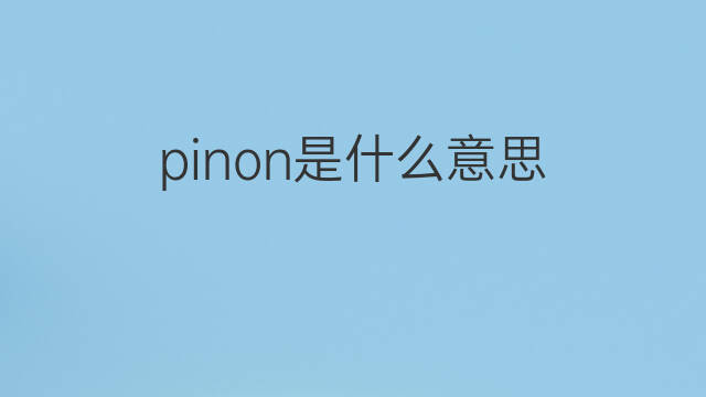 pinon是什么意思 英文名pinon的翻译、发音、来源