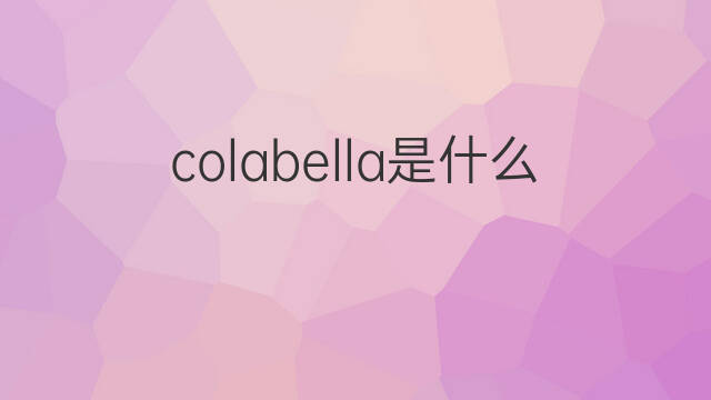 colabella是什么意思 colabella的中文翻译、读音、例句