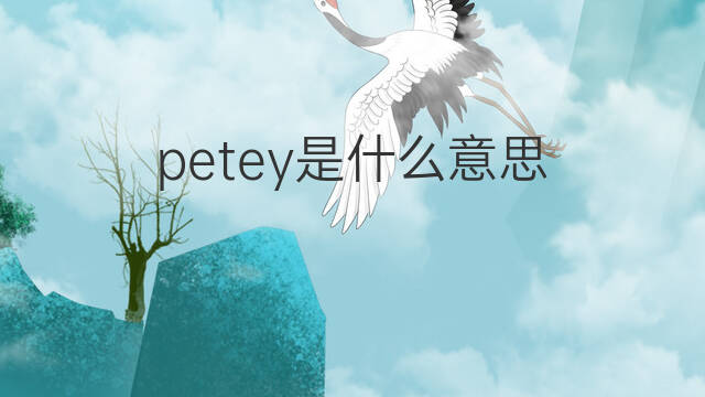 petey是什么意思 petey的中文翻译、读音、例句