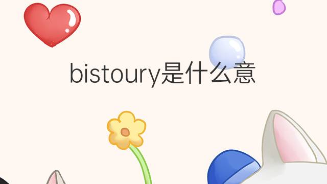 bistoury是什么意思 bistoury的中文翻译、读音、例句