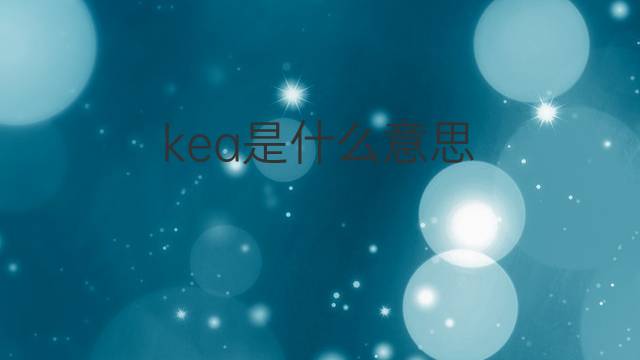 kea是什么意思 kea的中文翻译、读音、例句