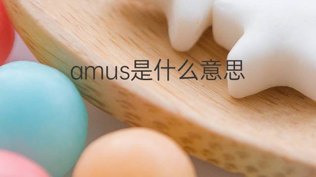 amus是什么意思 amus的翻译、读音、例句、中文解释