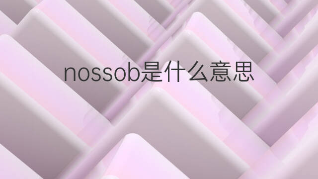 nossob是什么意思 nossob的中文翻译、读音、例句