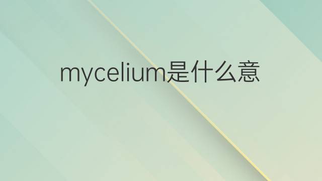 mycelium是什么意思 mycelium的中文翻译、读音、例句