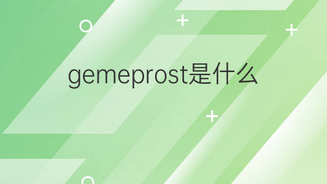 gemeprost是什么意思 gemeprost的中文翻译、读音、例句